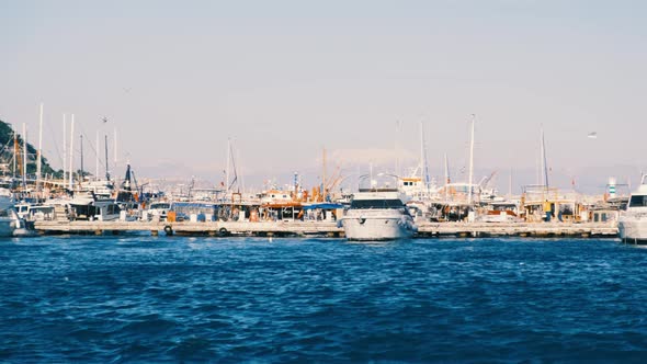 Docked Luxury Yacht Boats in a Port