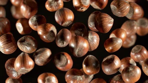 Super Slow Motion Closeup Shot of Flying Whole Hazelnuts Towards Camera on Black at 1000Fps alt