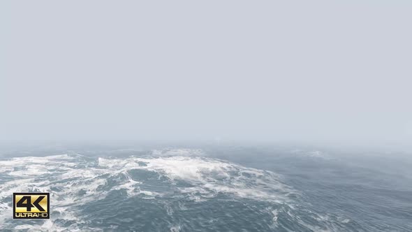 Sea Foggy