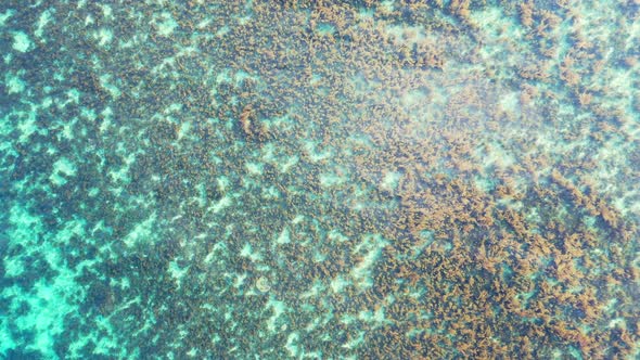 Colorful sea texture with brown coral reefs growing on white sand of lagoon bottom with clear calm w alt