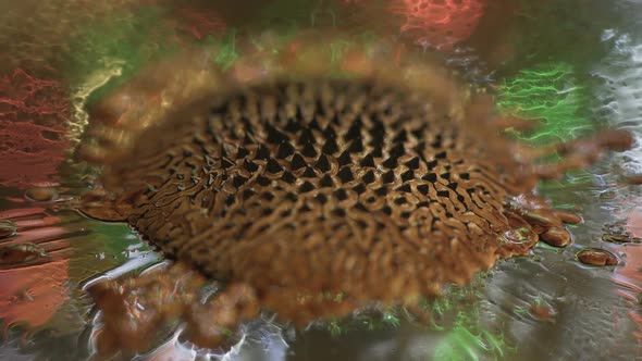 Ferrofluid. Beautiful Colors and Fantastic Shapes. Close-up.