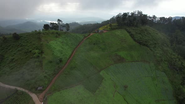 Aerial landscape view of greenery rainforest mountains on foggy day by drone