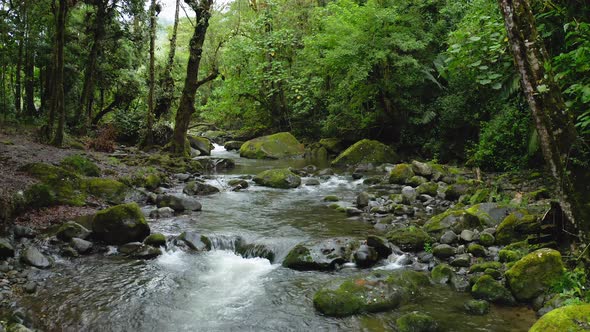 Aerial Drone View of River in Costa Rica Rainforest Scenery, Beautiful Nature with Water Flowing Thr alt