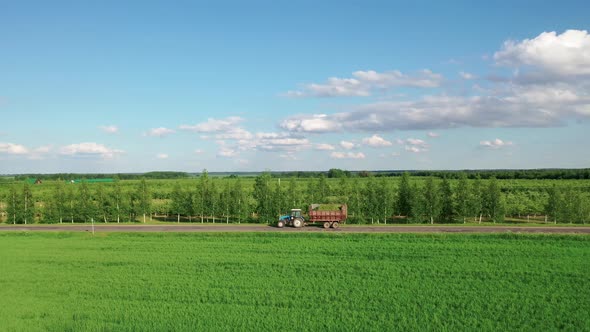 Tractor With A Trailer Carries Mown Grass Rides On A Road In Countryside alt