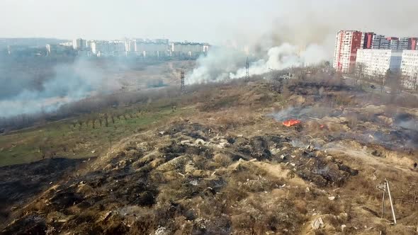 Forest Fires Disaster alt