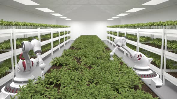 Artificial intelligence grows fresh herbs and vegetables