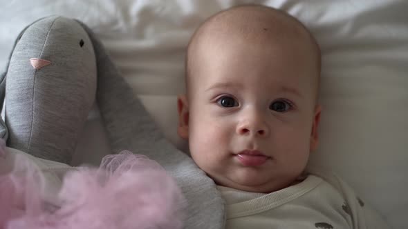 Closeup Happy Playful Kid 6 Month Old alt