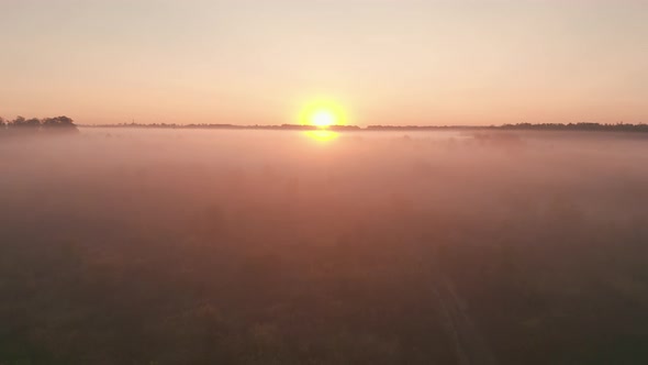 Low Morning Fog. Sunrise. Foggy Horizon Trees Hiding in Mystical Fog