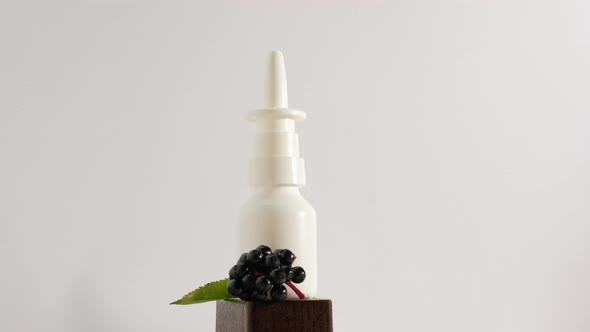 Oil From Berries In Bottles, Copy Space,Homeopathic Treatment From Herbs Or Black Berries.Elderberry
