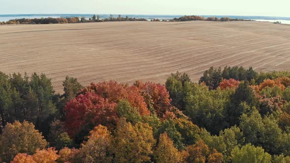 An Autumn View of Fields and Forest alt