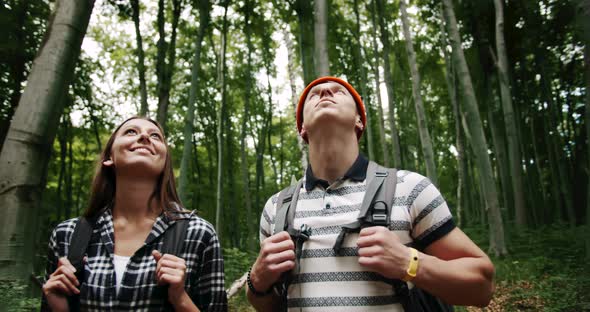 Tourists in Forest Looking Around