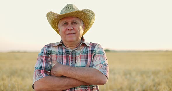 Farmer on a Wheat Field alt