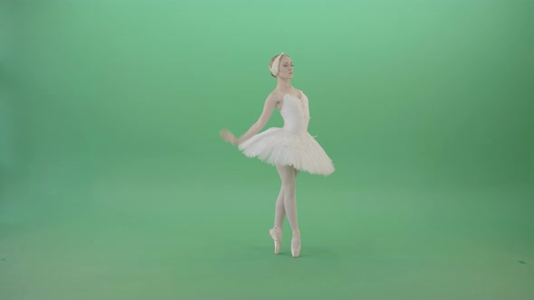 Fashion Snow White Ballet Dancing Girl Showing Swan Lake Dance Isolated On Green Screen Stock 