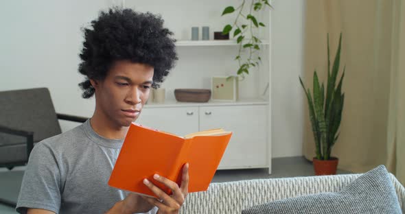 Afro American Attractive Focused Smart Student Black Guy Sitting at Home in Modern Living Room alt