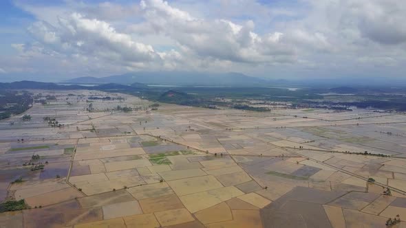 Aerial view fly over flooded paddy field with Gunung Jerai as background alt