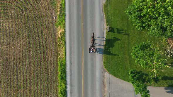 Top down aerial of horse and carriage. Pennsylvania Amish people drive on rural road. Bright golden alt
