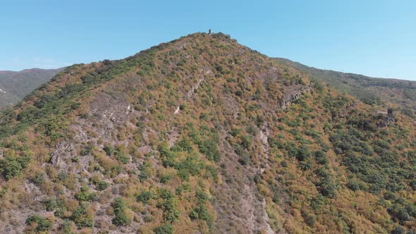 Sabaduri Mountain. Autumn forest. Georgia alt