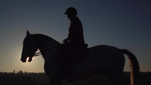 Horsewoman Riding on Their Horse Over a Meadow alt