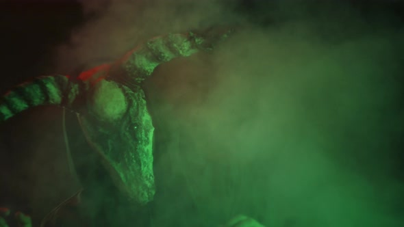 Devil with Cow Skull Head Making Rite in Smoke alt