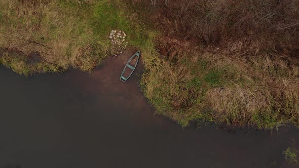 Top View of Adult Female Observing the Nature in Autumn