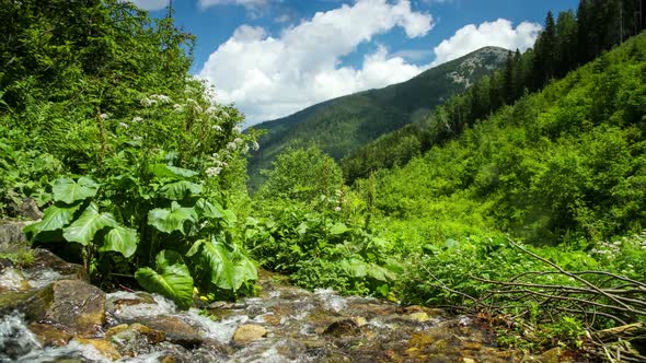 Time Lapse Clouds Move Over Mountain River and Forest Rural Landscape  alt