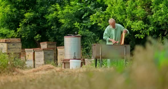 Beekeeper Removes the Layer From the Honeycomb, Honey Production. Beekeeper Prepares the Honeycomb alt
