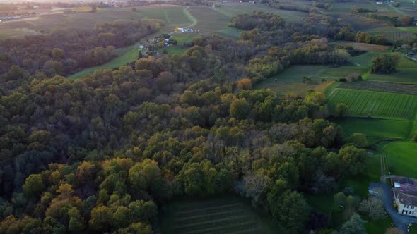Aerial view bordeaux vineyard in autumn, landscape vineyard 