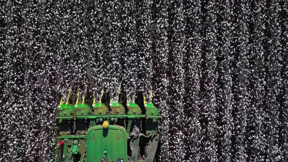 Straight down view of a tractor cotton picker harvesting rows of the crop alt