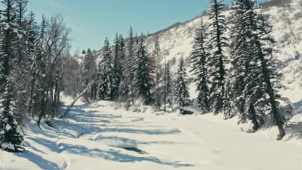 Cinematic flight down a snow covered river, low to the ground, through the trees