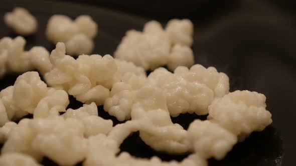 Slow pan over milk kefir grains bacterial fermentation starter on plate 4K 2160p 30fps UltraHD foota alt