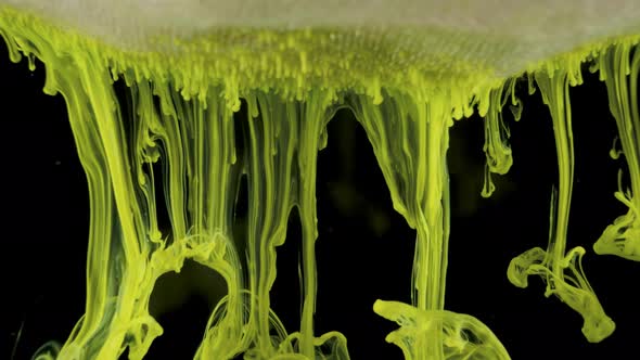 Colorful Ink Paint in the Water, Ink Swirling Flow Down Underwater