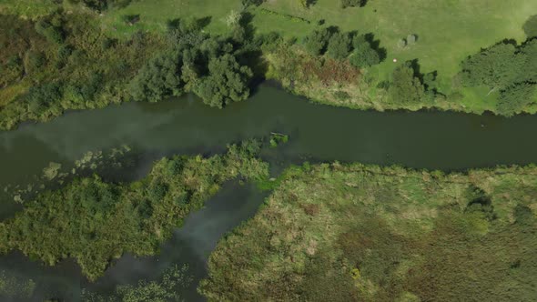 Park area. A winding river with water lilies. Swampy area. Aerial photography. alt