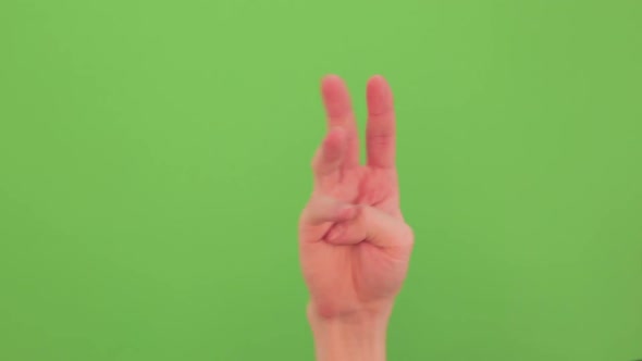 Closeup View of Male Hand Counting From 0 To 5 Isolated on Greenscreen Chromakey Background. Math alt