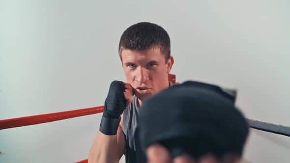 Combat Movements and Punches alt