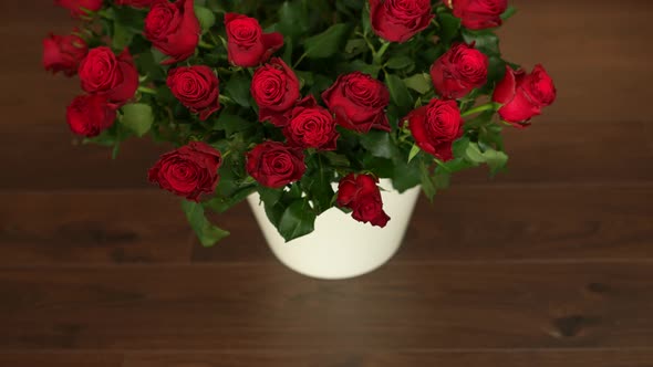 Red Roses alt