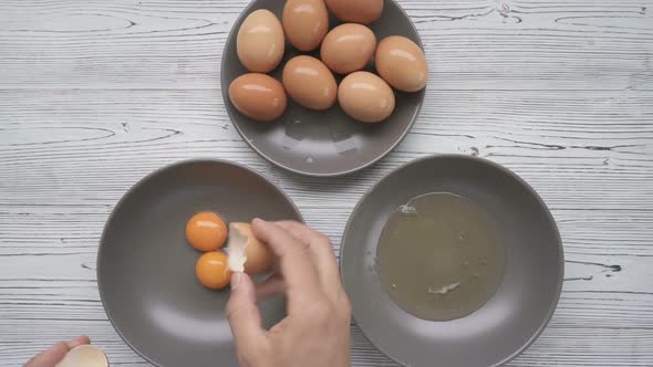Separation of Yolk and Protein of Chicken Eggs