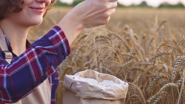 Miller Hands Pour Handful Of Flour Into Paper Bag On Wheat Field. Faceless Woman Pours Flour alt
