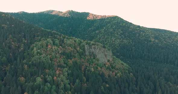 Aerial View Of Rocky Mountain with Lush Green Coniferous Forest alt