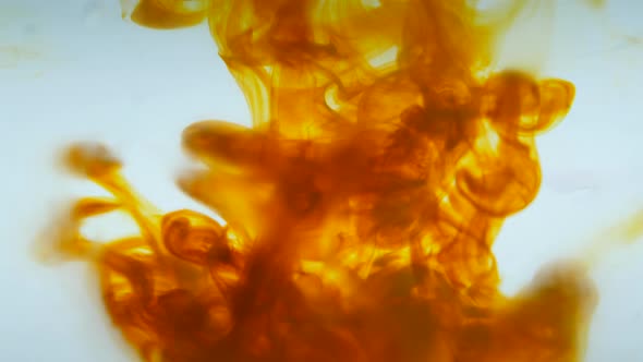 Abstract art of water color paint alt