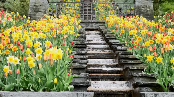 Flower Park with a Waterfall on the Island of Mainau in Germany
