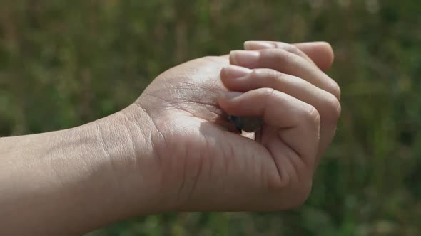 Woman Releases the Butterfly From Her Hand alt