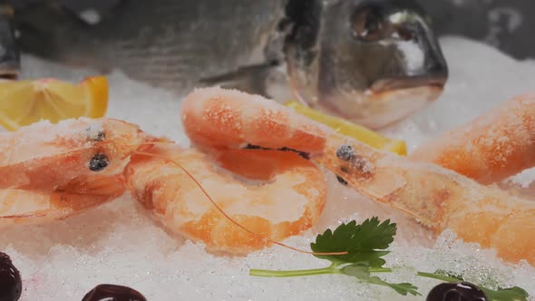 Frozen Shrimp on the Snow Showcase in a Seafood Store alt