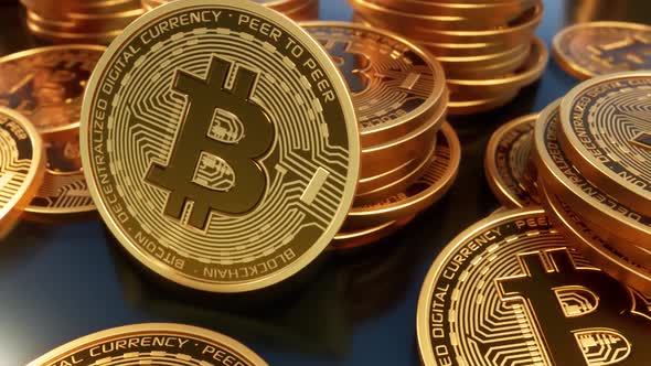 Multiple Bitcoin Coins