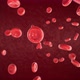 Blood cells circulation flow - VideoHive Item for Sale