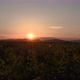 Timelapse of sunset over rapseeds field - VideoHive Item for Sale