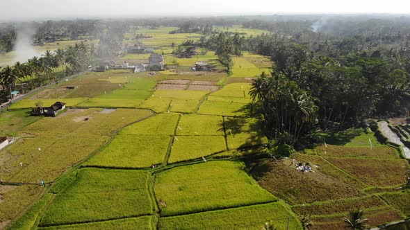 Aerial Rice Fields in Bali, Indonesia