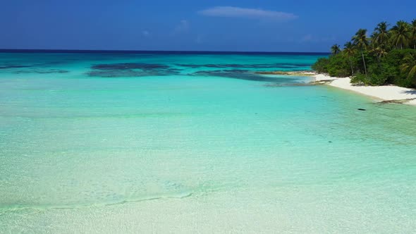 Aerial above landscape of paradise sea view beach wildlife by blue ocean with white sandy background alt