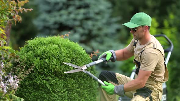 Upkeep Of Residential Lawn And Garden.  alt