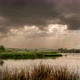 Summer Rain On Lake - VideoHive Item for Sale