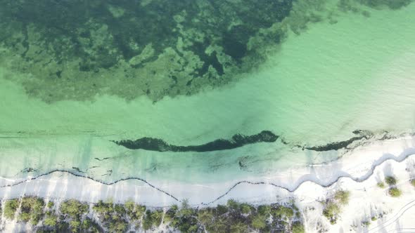 Aerial View of the Ocean Near the Coast of Zanzibar Tanzania alt